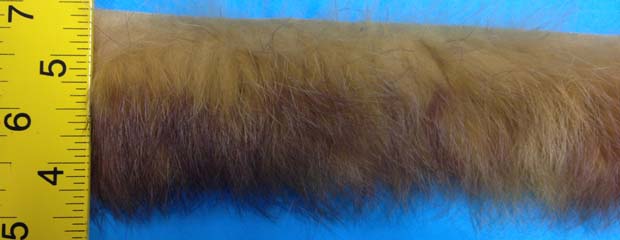 Rabbit Fur Flat 20MM